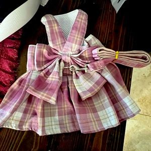 Dogs female dogs dress